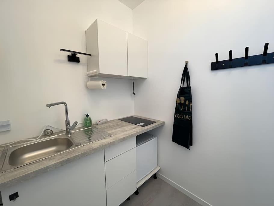 Studio B2 20M2 Cosy 5Min A Pied Des Gares Roanne Buitenkant foto