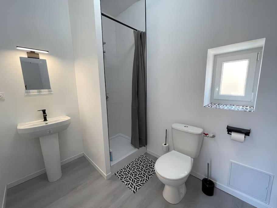Studio B2 20M2 Cosy 5Min A Pied Des Gares Roanne Buitenkant foto